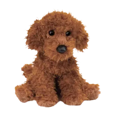 Ginger Miniature Poodle